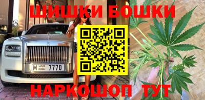 mdpv Краснознаменск
