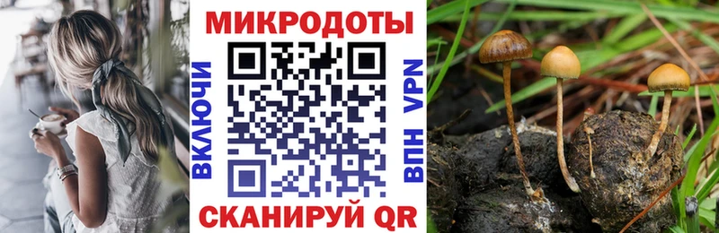 Галлюциногенные грибы MAGIC MUSHROOMS  Ишимбай 