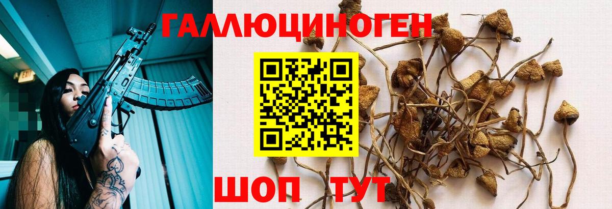 Галлюциногенные грибы прущие грибы  Вход с VPN  где купить наркотик  Ишимбай 